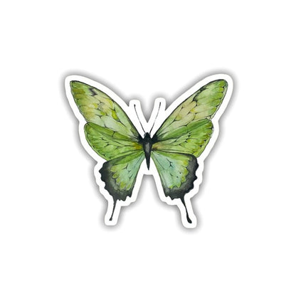 Butterfly Sticker